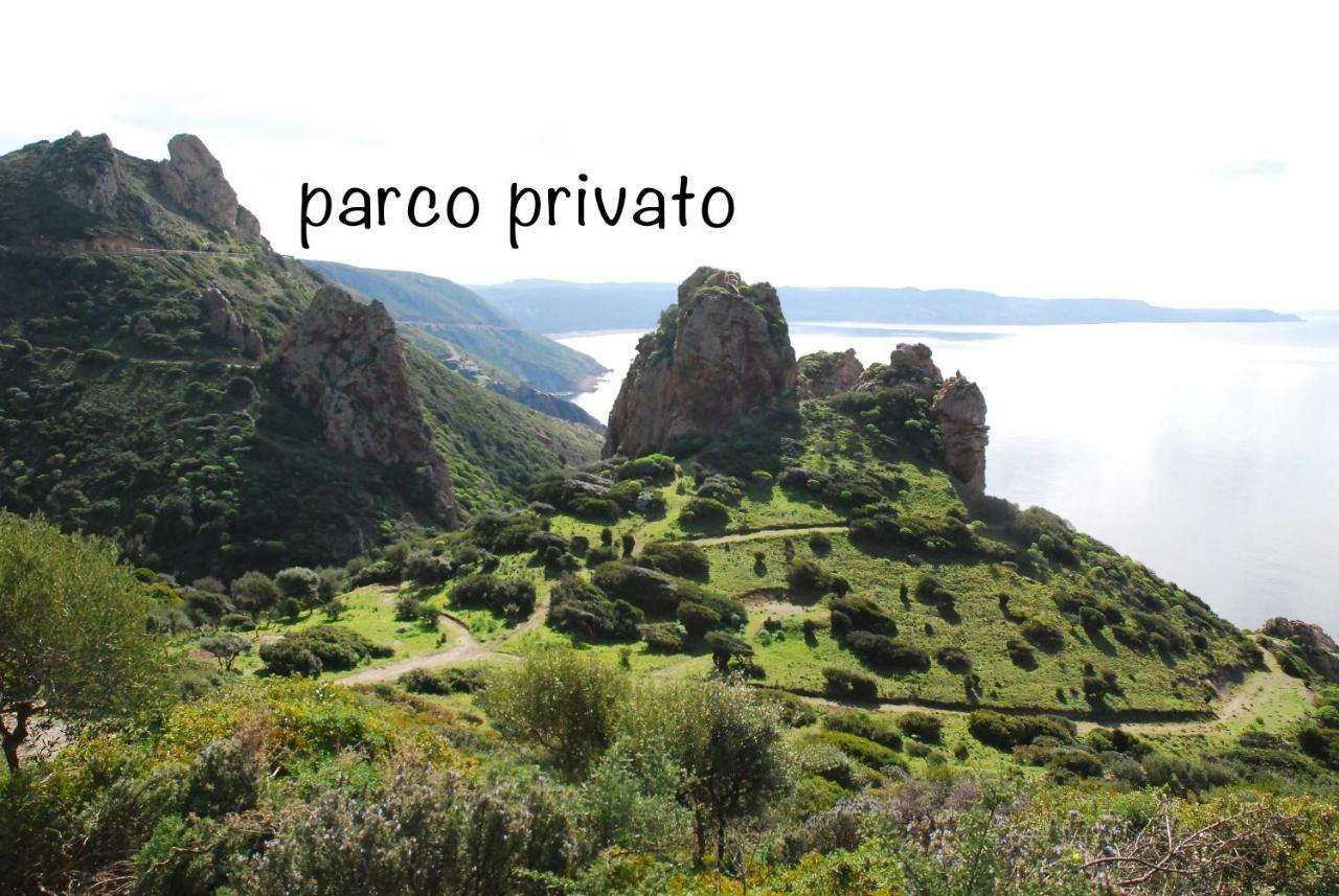 Il Blu Tanca Piras *